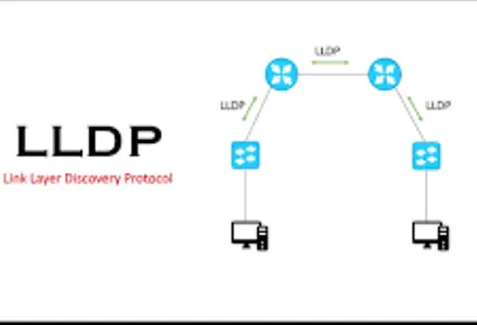 /LDPE vs LLDPE: 10 Key Differences